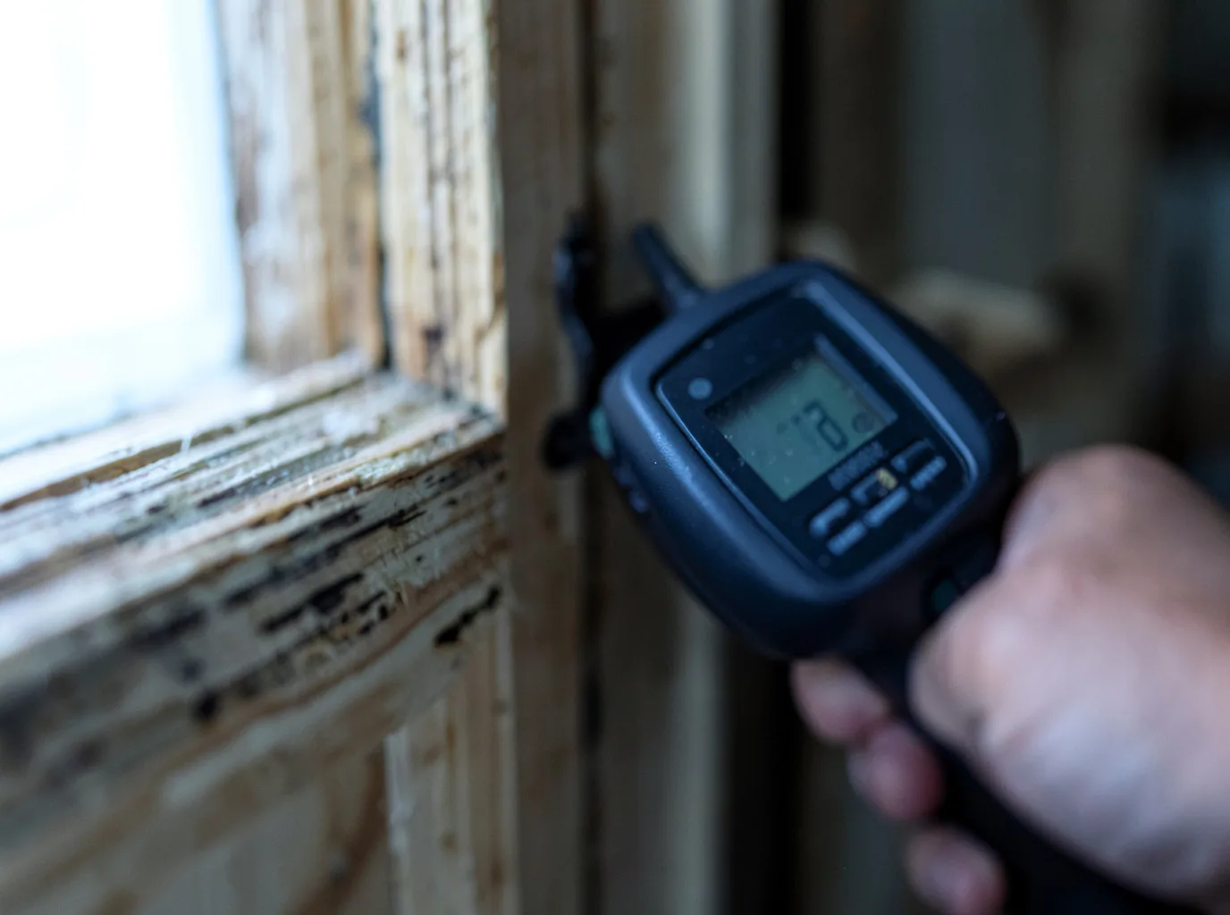 Moisture Inspection And Documentation in Andrews, IN